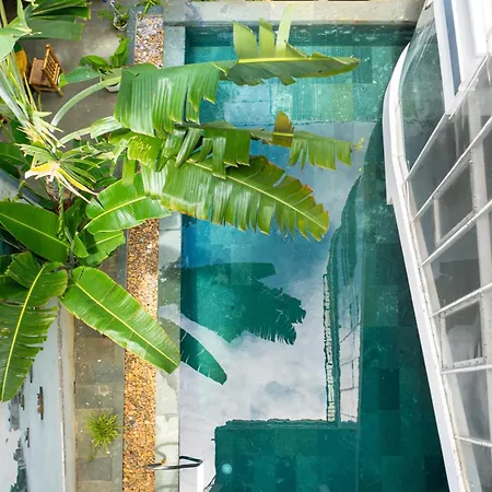 5 Coconut Villa Hoi An Exterior photo